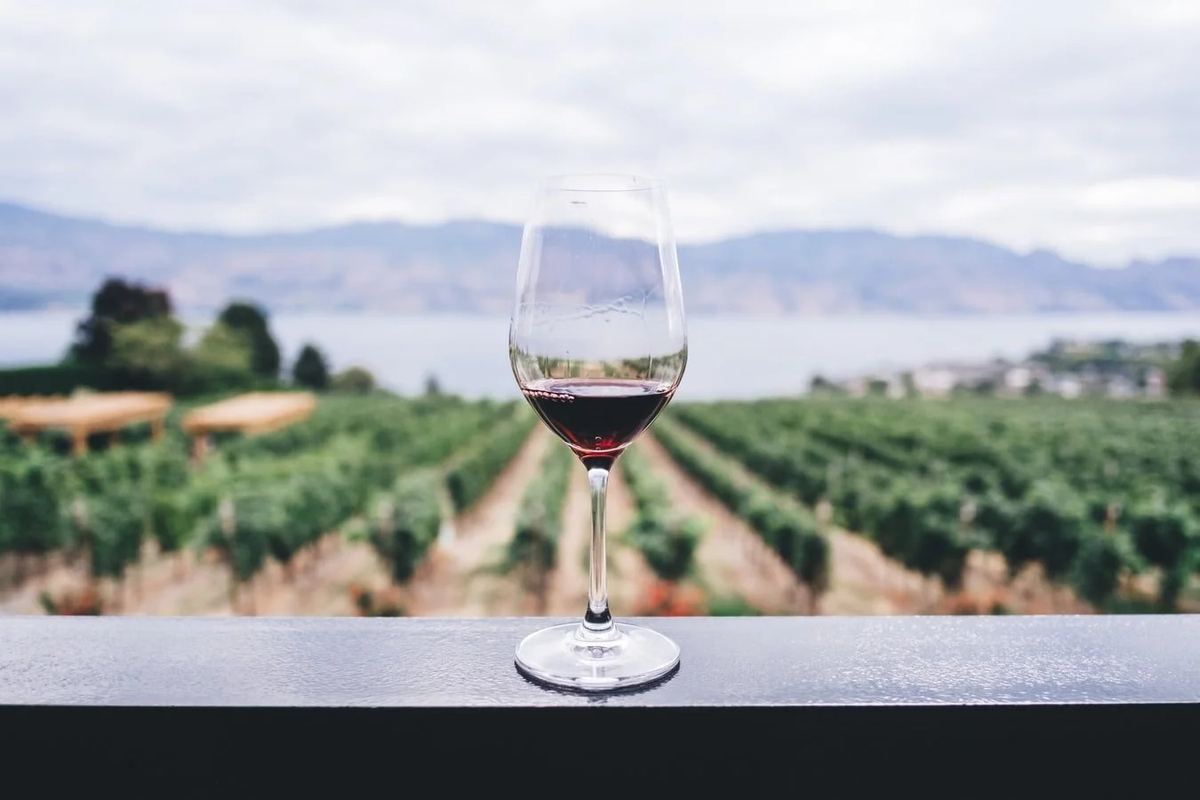 Wine Estate Experiences